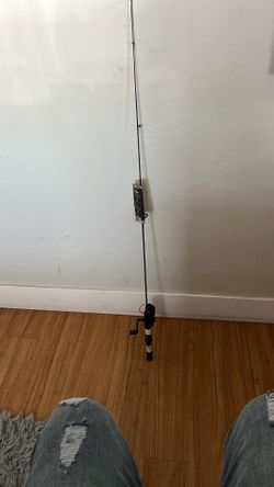 Micro fishing pole