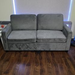 Couch with Pull Out Sleeper