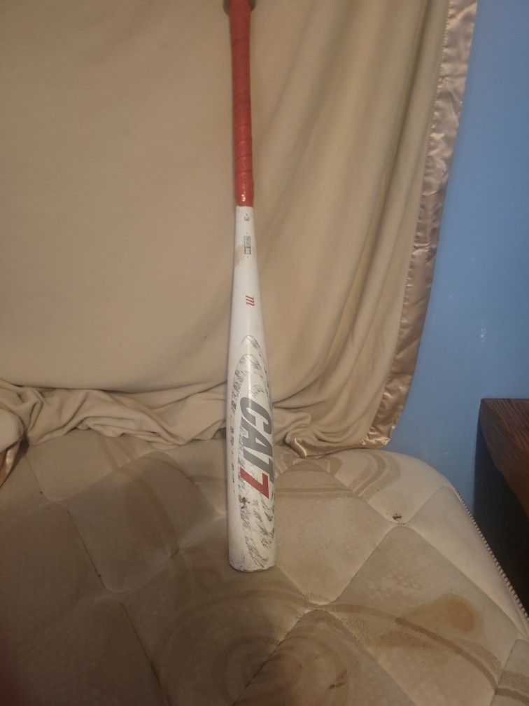 Cat 7 Marucci
