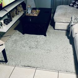 Gray Rug used condition $30