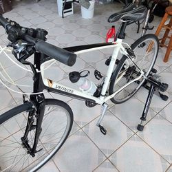 Large 57  Specialized Bike