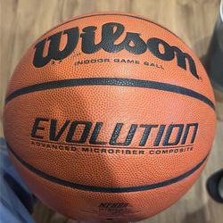 Wilson Evolution Basketball Official Size