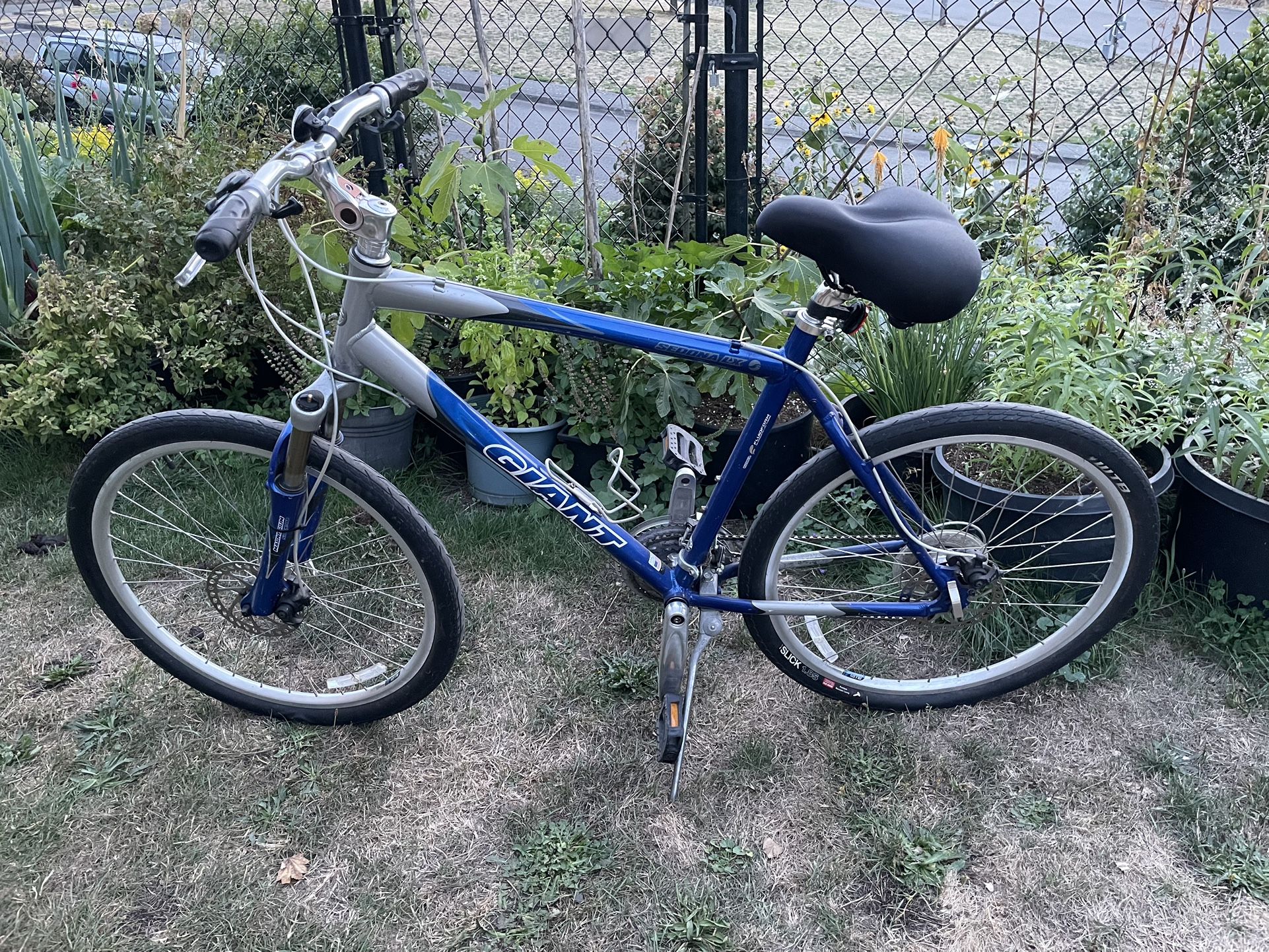 Giant Bike