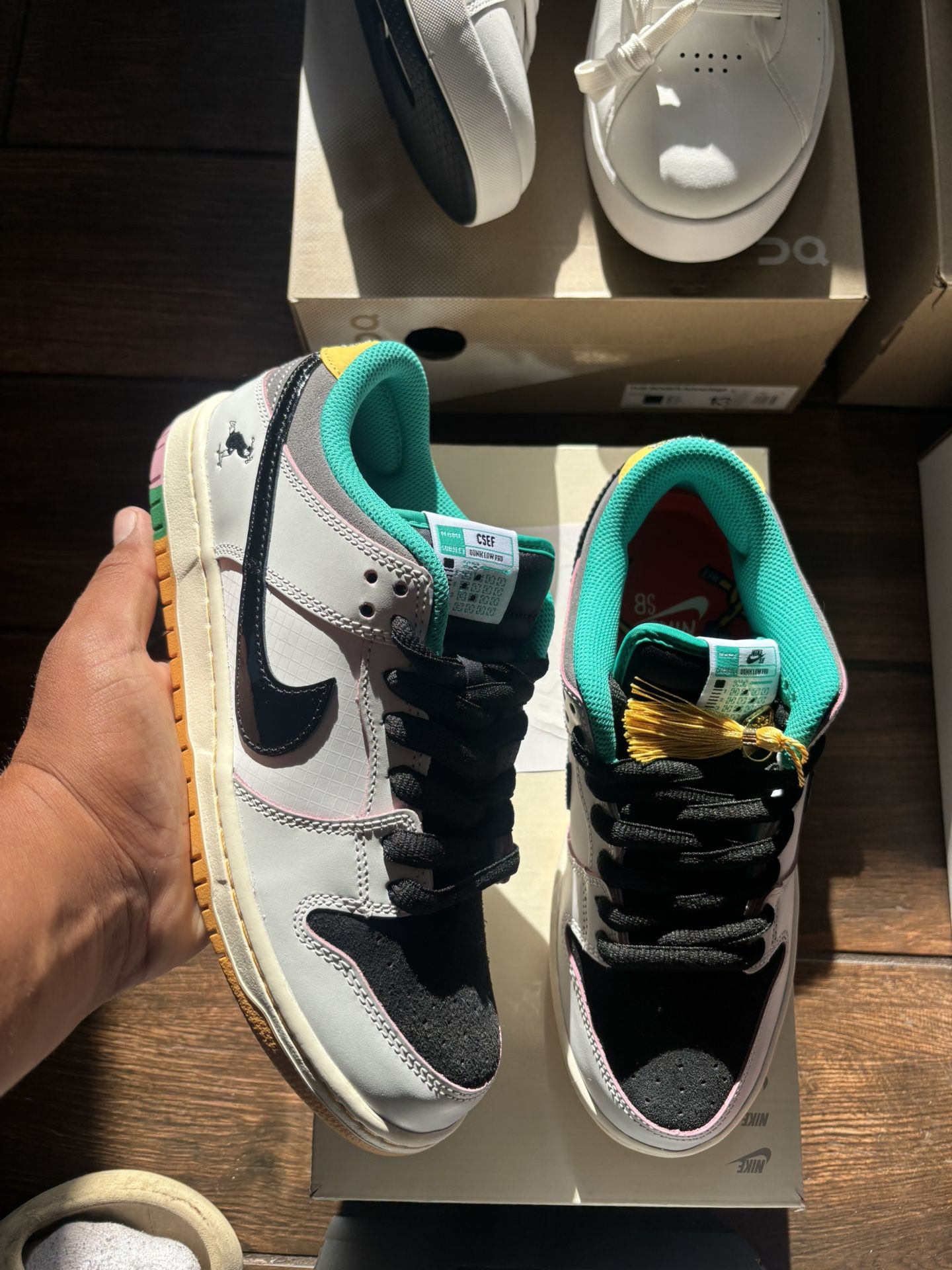 Dunk Low Sb CSEF