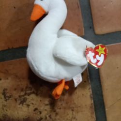 Gracie the dove Beanie Baby