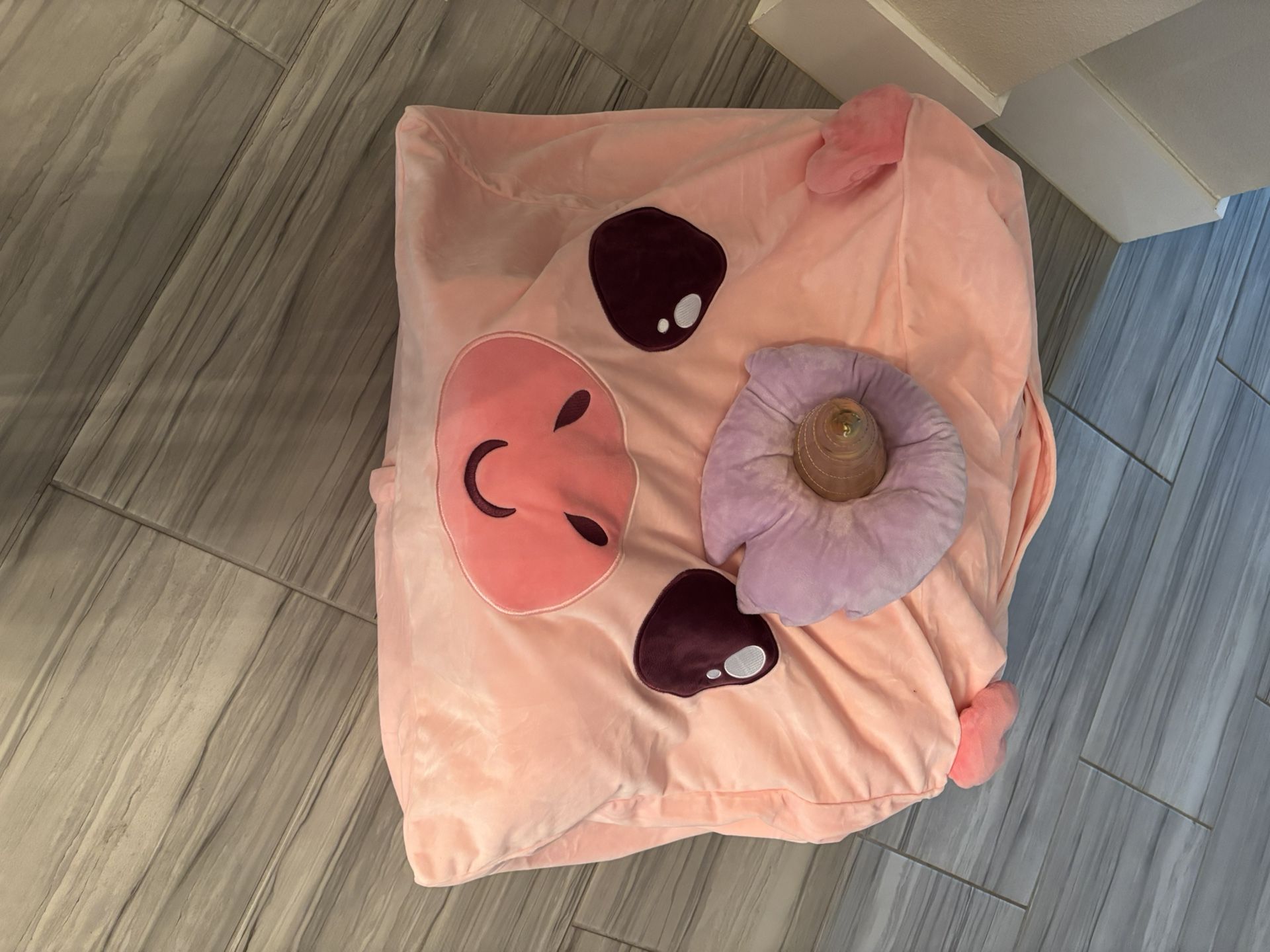 Stuffed Animal Storage Bean Bag