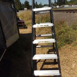 Step Ladder  New