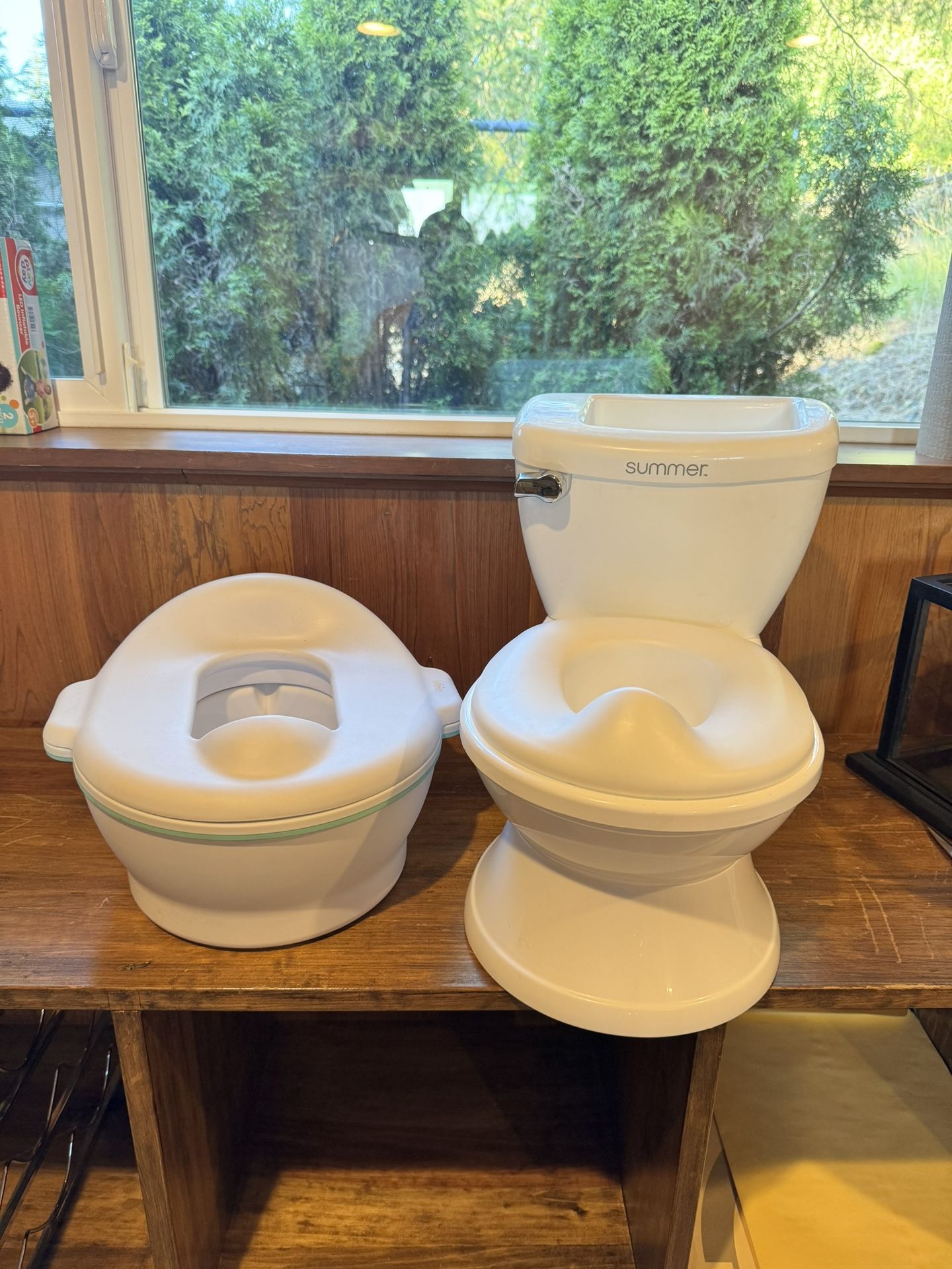 Potty Training