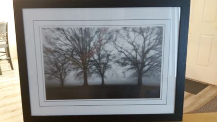 Big black and white framed and matted art. Nice quality.