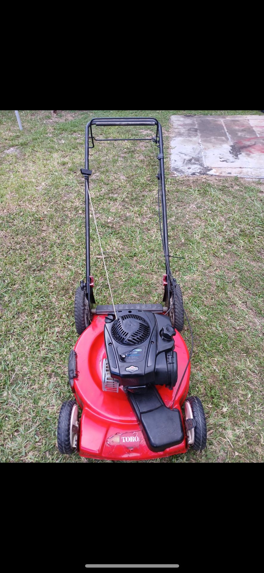 Self Propelled Lawns Mowers