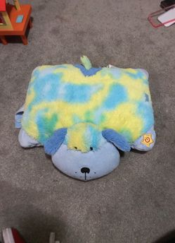Light up pillow pet