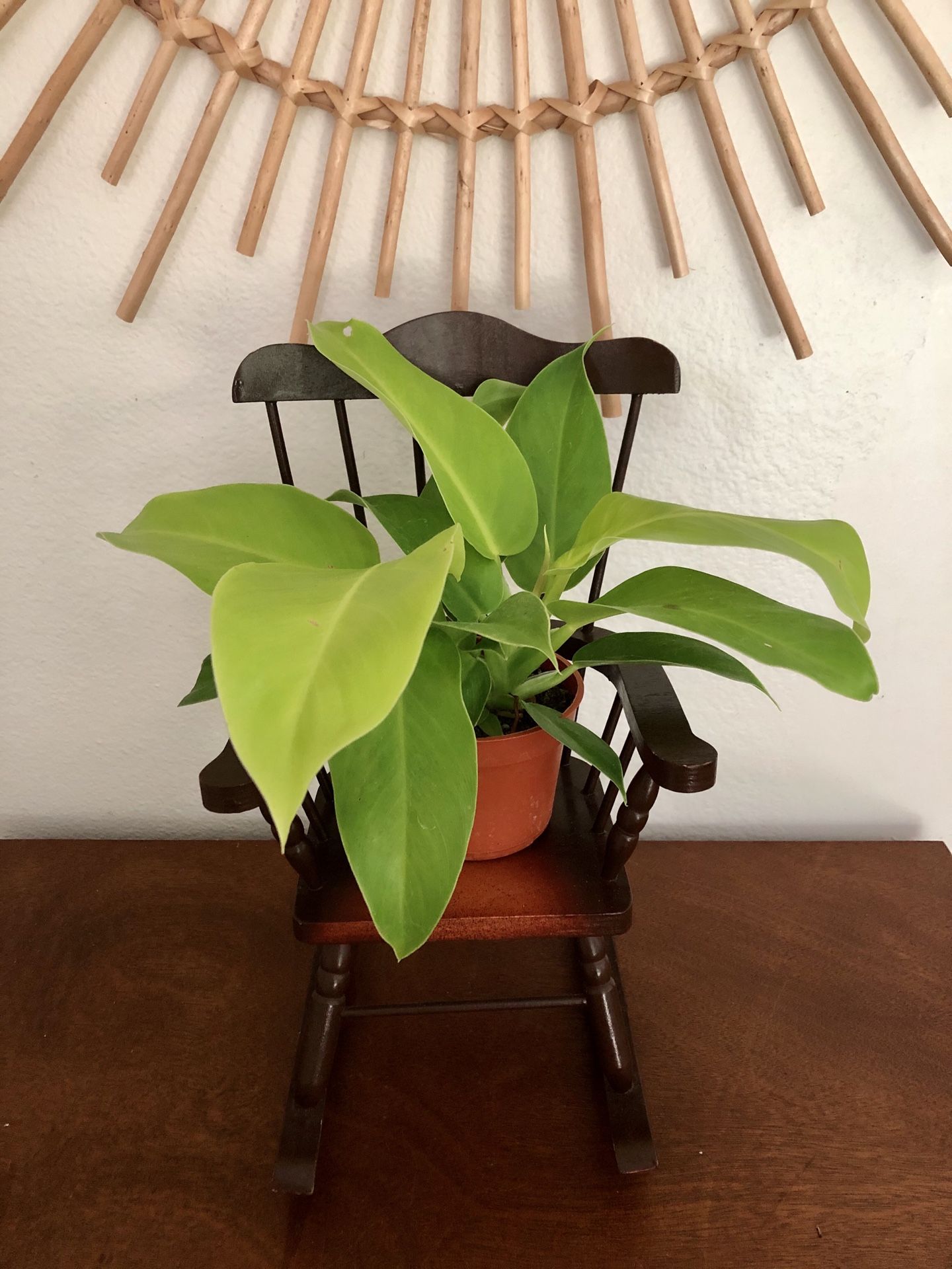 Adorable vintage miniature rocking chair plant stand