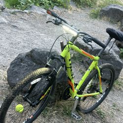 TREK BIKE