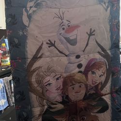 Frozen Sleeping Bag & Tent 