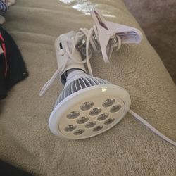 Hooga Brand Red Light With Clamp