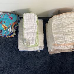 Cloth Diaper Lot (Mama Koala, Cloth-eez, And Osocozy) 