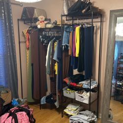 Closet Organizer (2)