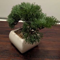 Artificial Bonsai Tree 🍃 