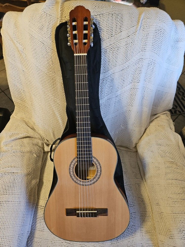 New Firebrand Acoustic Guitar And Gig Bag