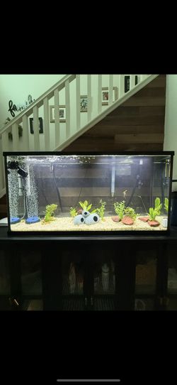 55 Gallon Aquarium