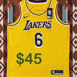 NBA Nike DriFit Los Angeles Lakers LeBron James Jersey #6 Men’s XL 52 “NWT”