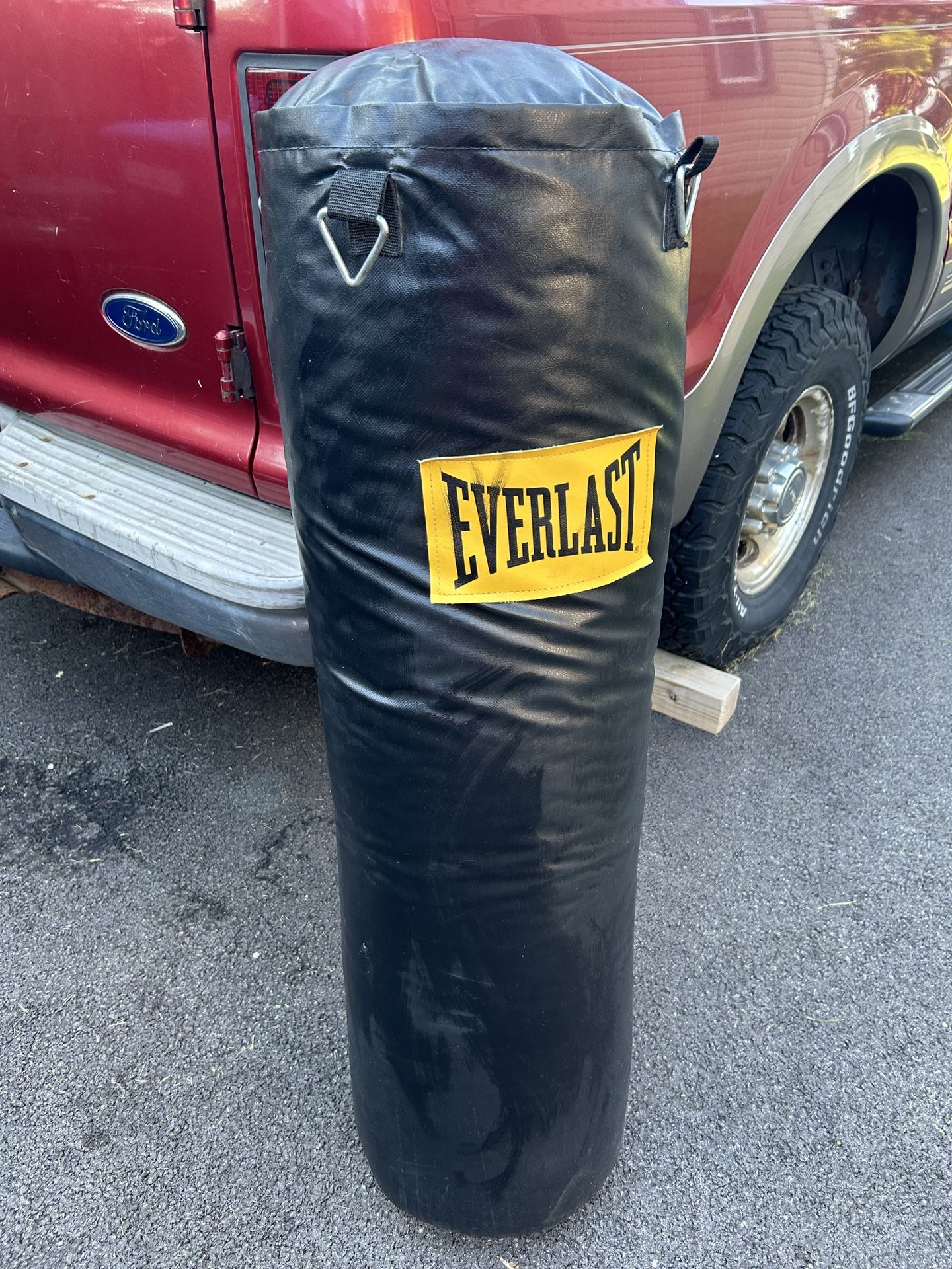Everlast Punching Bag