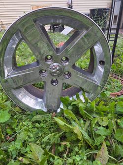 Rims "18