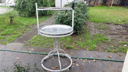 Parrot stand