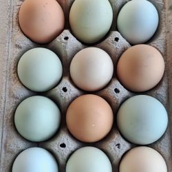 Huevos 12 for $6  tengo 8 dozenas
Chicken Eggs organic huevos de gallina 12 eggs  for $6 