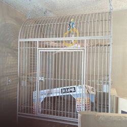 2 Large Parrot Cages