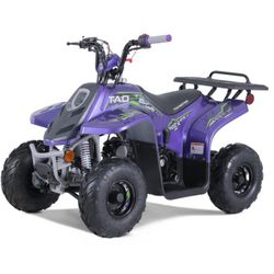 Fully Assembled Automatic ATV110 with Reverse