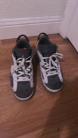 Jordan 6s low