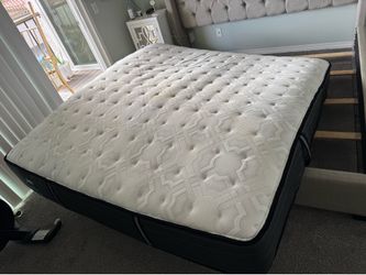King Size Sealy Mattress - $50