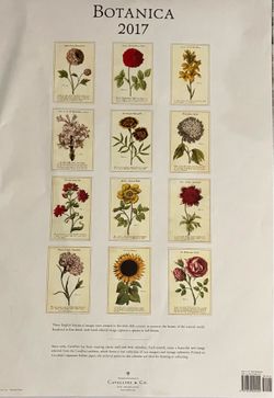 Botanical Wall Calendar•12 LARGE Prints Suitable for Framing•Measurements in photos
