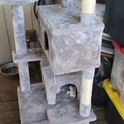 Cat Tree