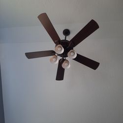 Beautiful Ceiling Fan