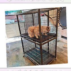police themselves Pet Cages in Different Options to Fit Every Pet Size