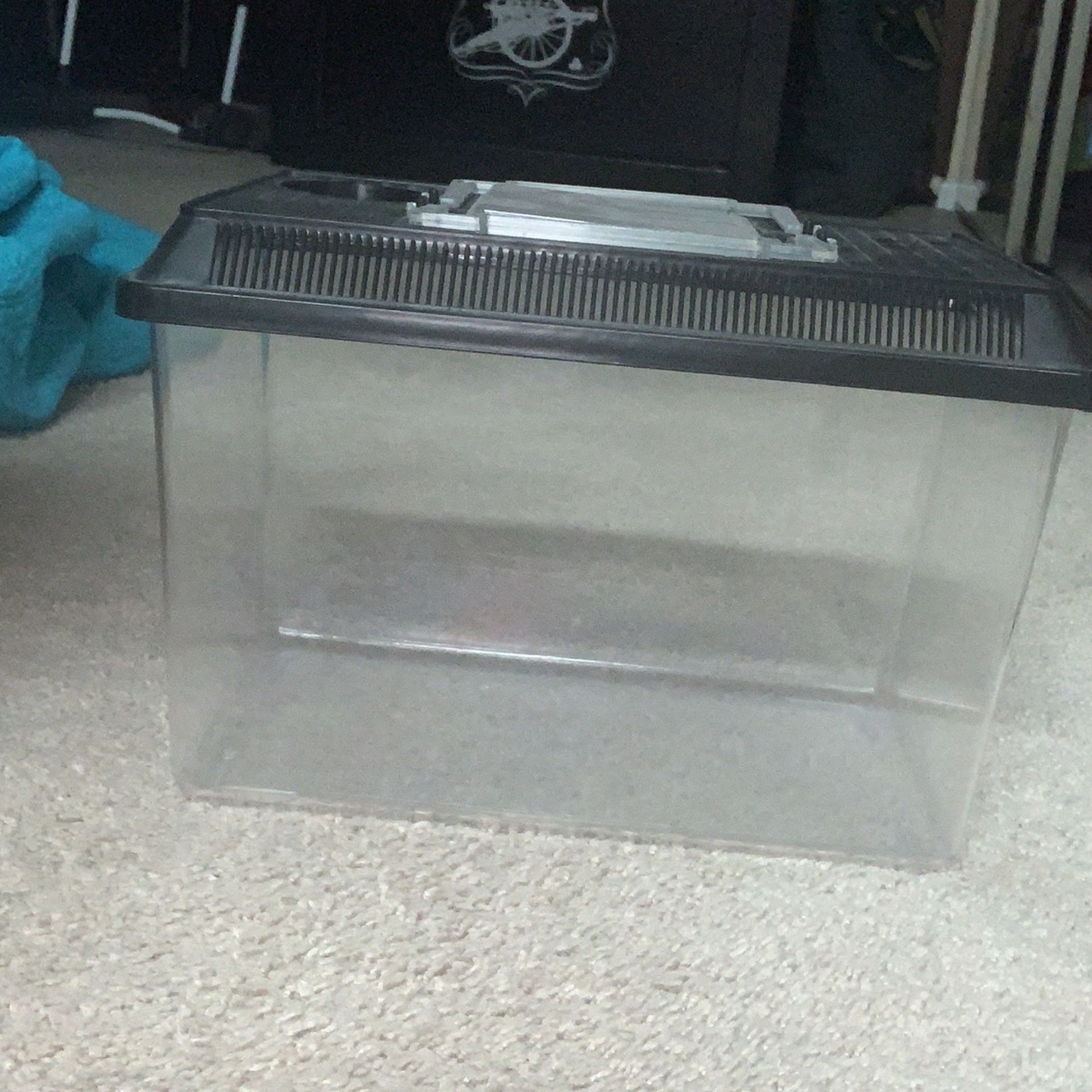 Pet Carrier