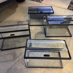 10 Gallon Fish Tanks
