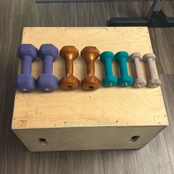 4 Sets Dumbbells