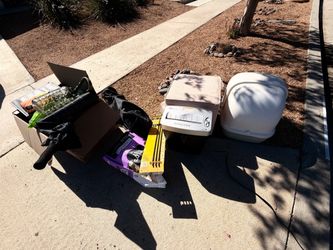 FREE random home and pet items