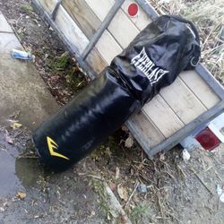 Everlast MMA Boxing Equipment 