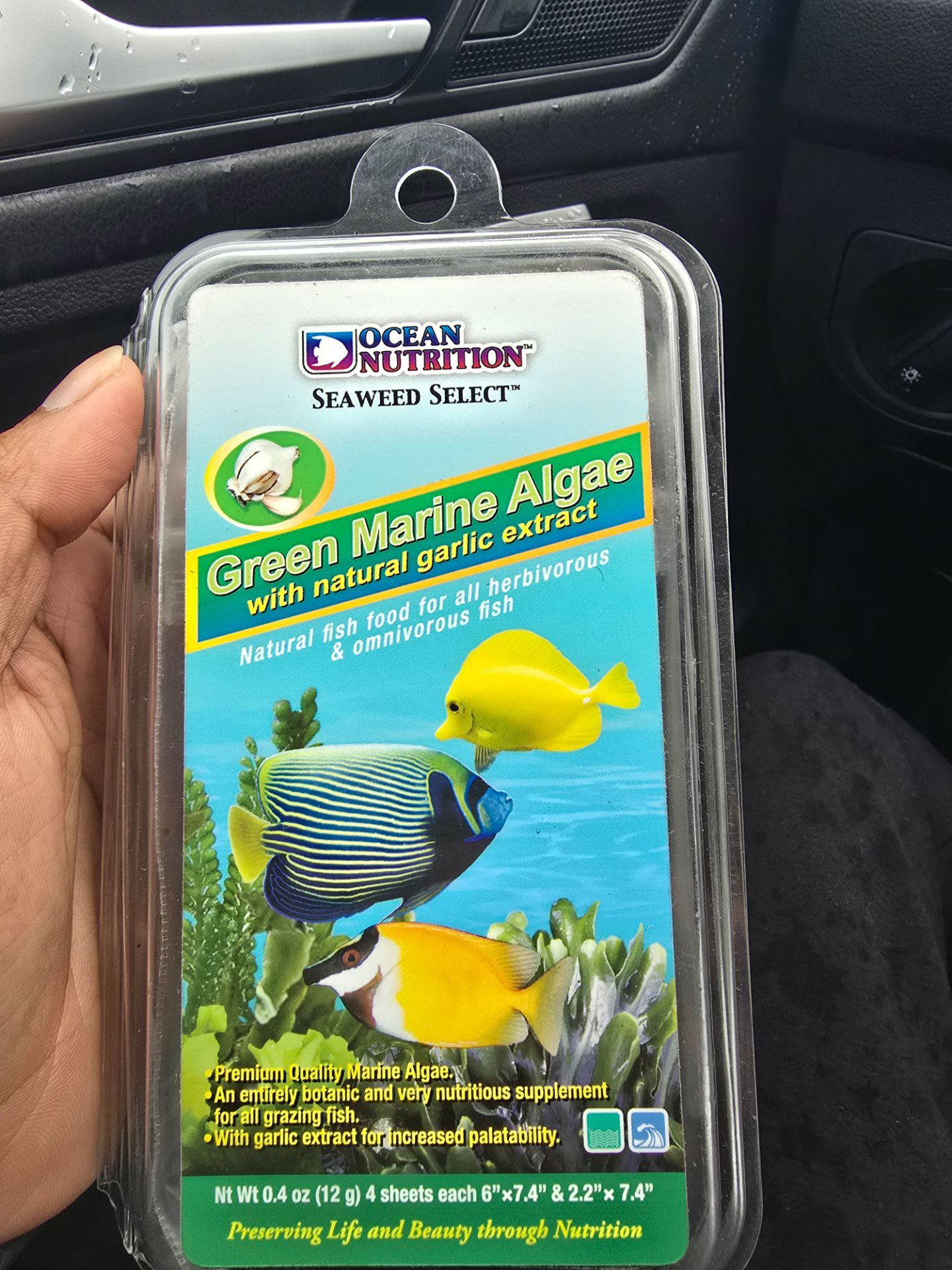 Green marine algae