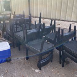 Dining  Chairs