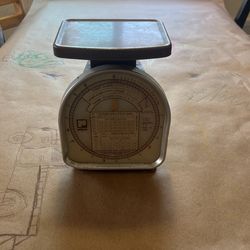 Scale