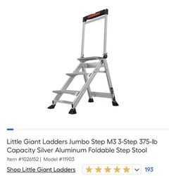 Little giant Ladder