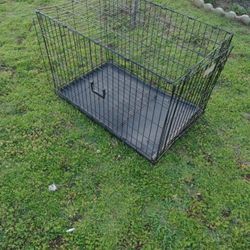 Dog Case 