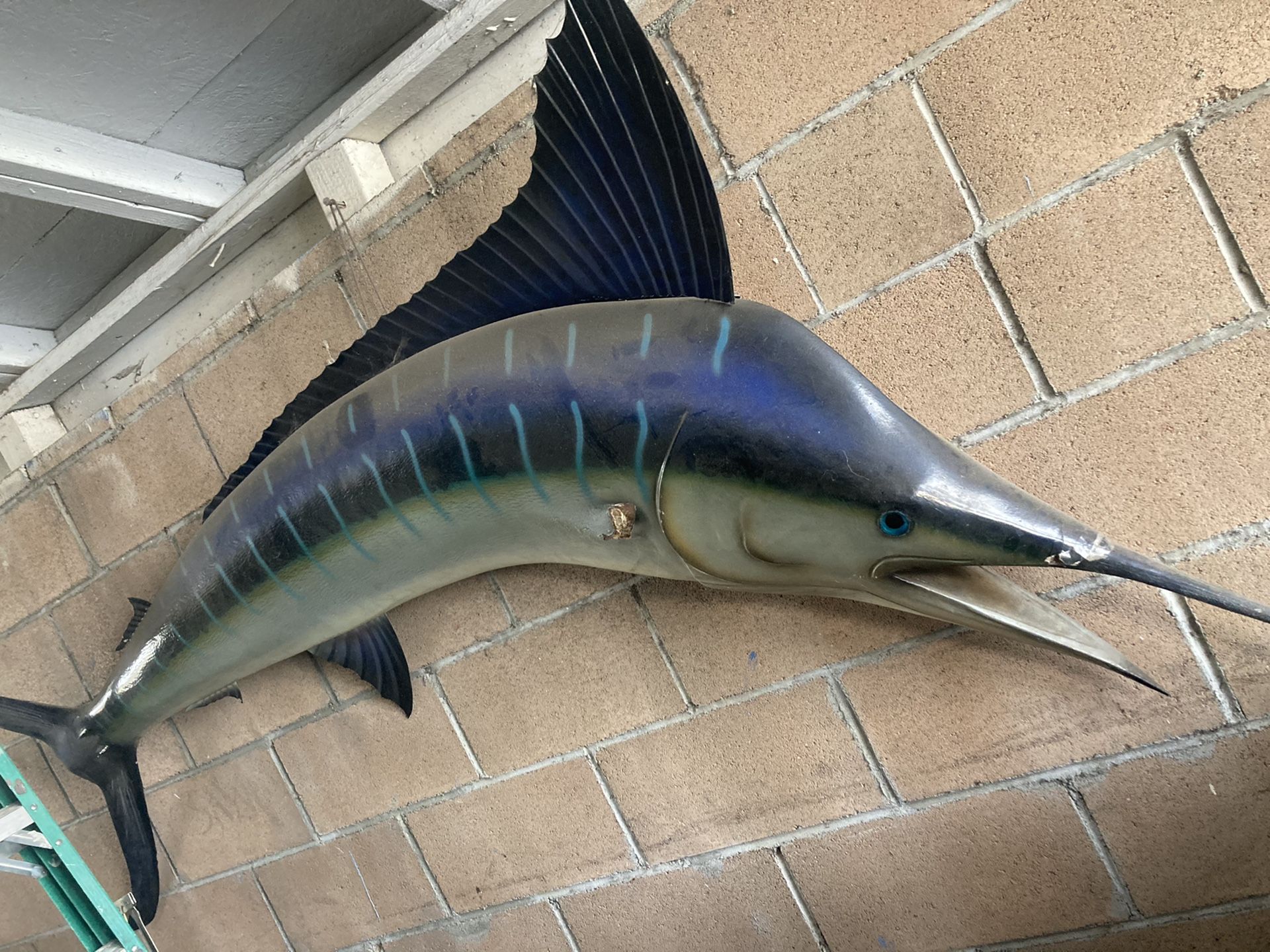 Marlin fish mont 8ft