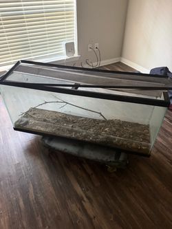 Reptile Aquarium