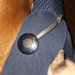 Chrome Cast 
